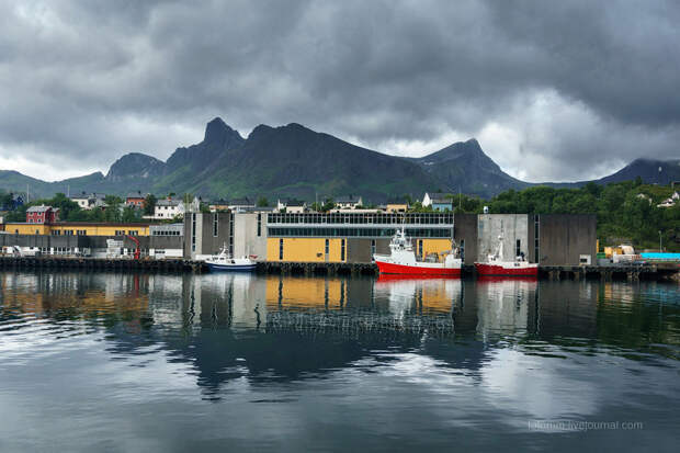 Невероятная Норвегия: Чудо-юдо Рыба-кит