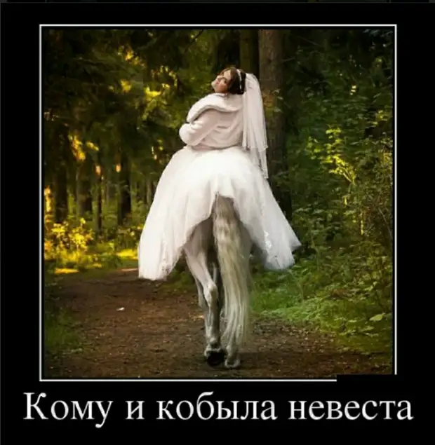 - Щас как в челюсть дам! - Но ты же леди! - Ну я тресну и добавлю - Щас как в челюсть дам! - Но ты же леди! - Ну я тресну и добавлю