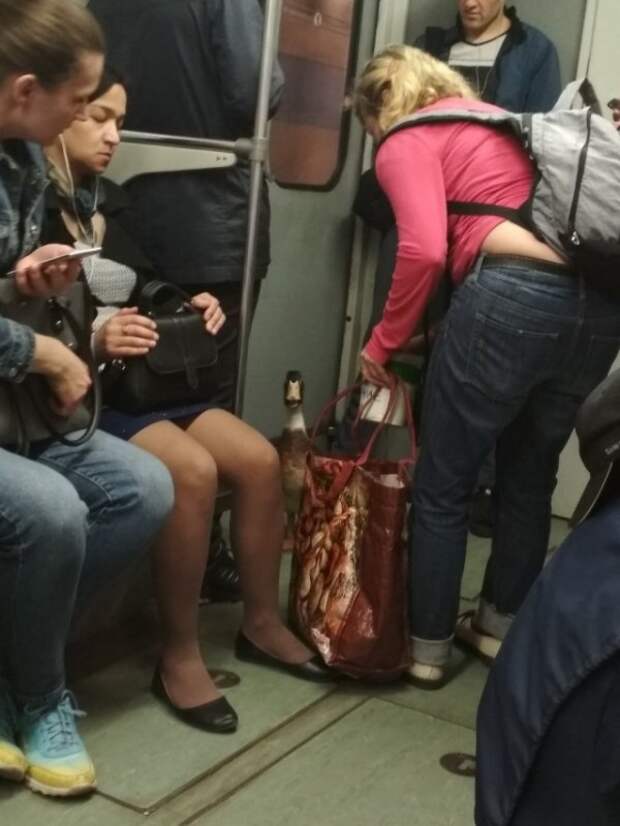 А вы знаете - в метро порой встречаются те еще модники!