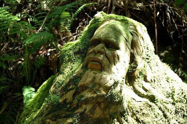 Скульптуры тропического леса Олинды (6 фото)