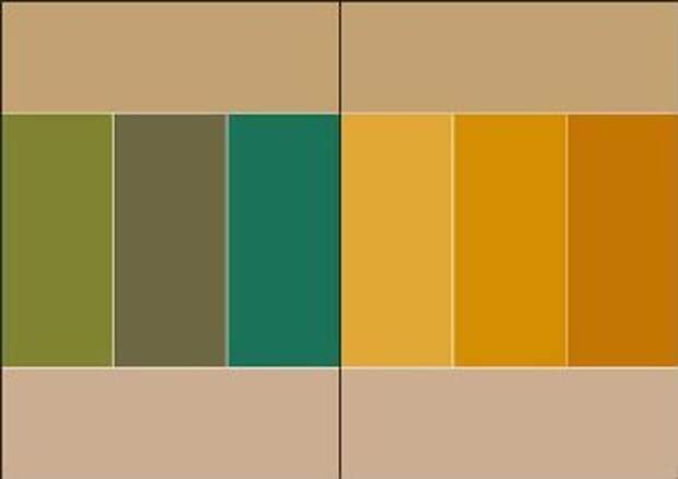 5a0e65cfdf69.jpg