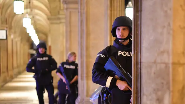 Посол России рассказал о задержанных в Австрии после теракта в Вене