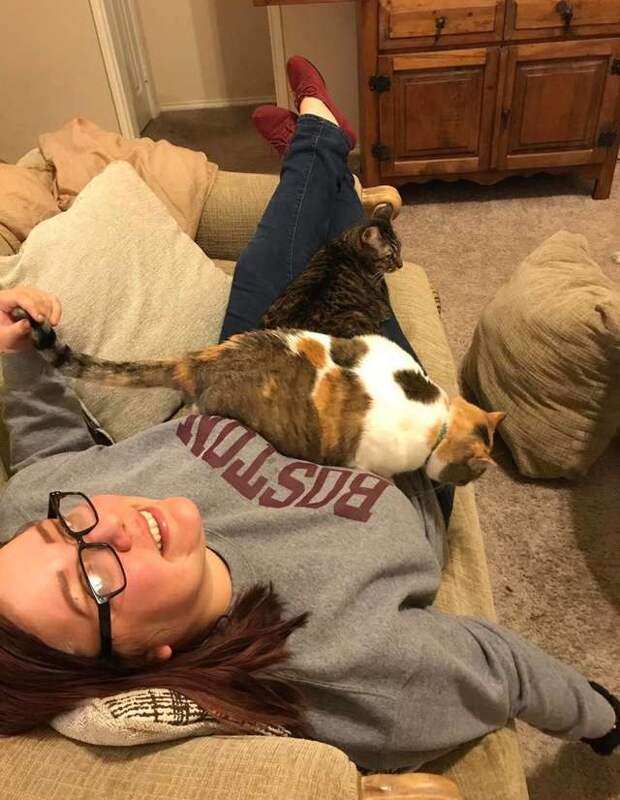 Странное чувство заставило девушку приехать в приют. А там собирались усыпить старенькую собаку