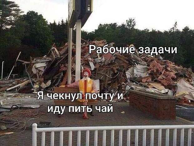 Коллекция мемов для пятничного настроения (23 шт)