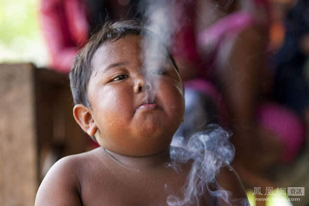 Toddler02 4 летний индонезиец бросил курить и начал обжираться