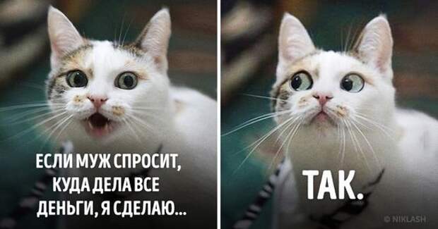 Идет Будда с учениками по дороге. Идет Будда с учениками по дороге.
