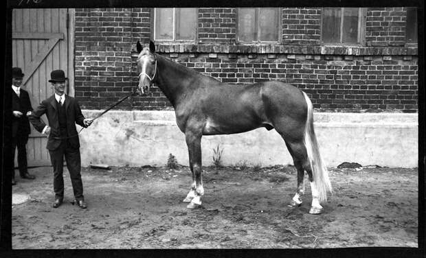 Москва 1909 г. (59 фото)