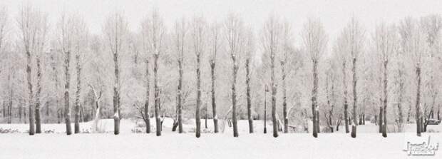 0464 Лучшие фотографии России 2011. Номинация “Природа”