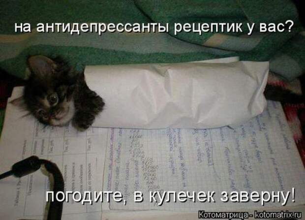 Котоматрицы (картинки с надписями)