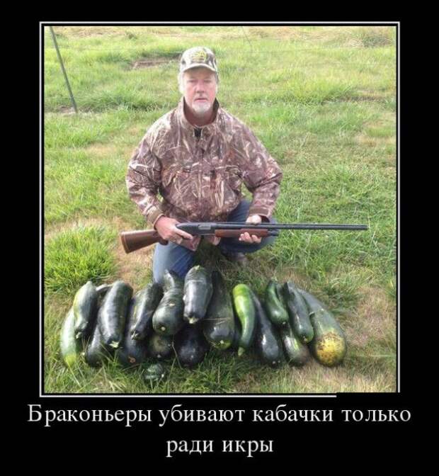 Демотиваторы (30 фото)