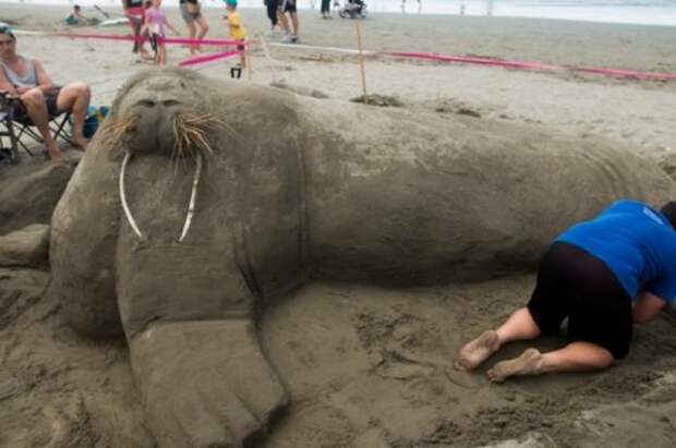 Песочные скульптуры на 3rd New Zealand Sandcastle Competition 2014 (17 фото)