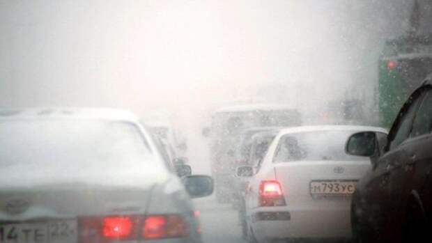 Метель в Алтайском крае / Фото: Екатерина Смолихина / amic.ru