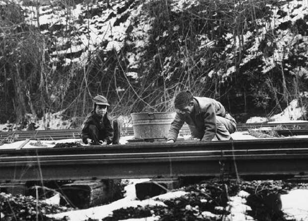 Отец и сын собирают на железной дороге уголь.