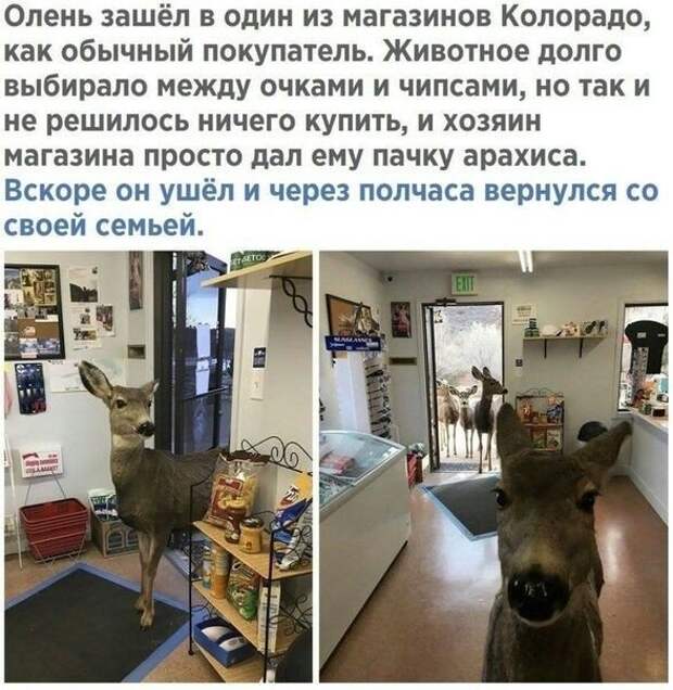 Картинки с надписями