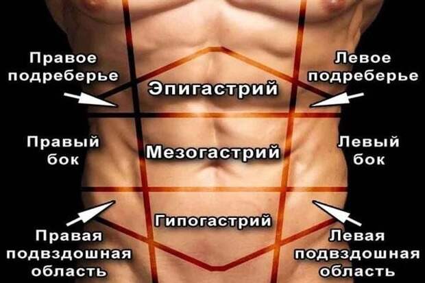 Боль в животе: терпеть нельзя лечиться. Полный гид по симптомам, действиям и скрытым угрозам