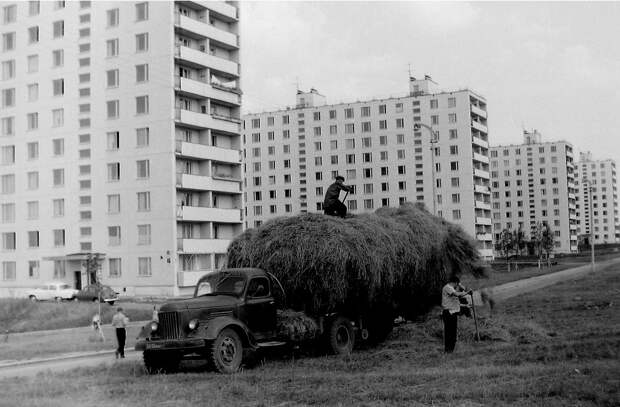 1967 г.