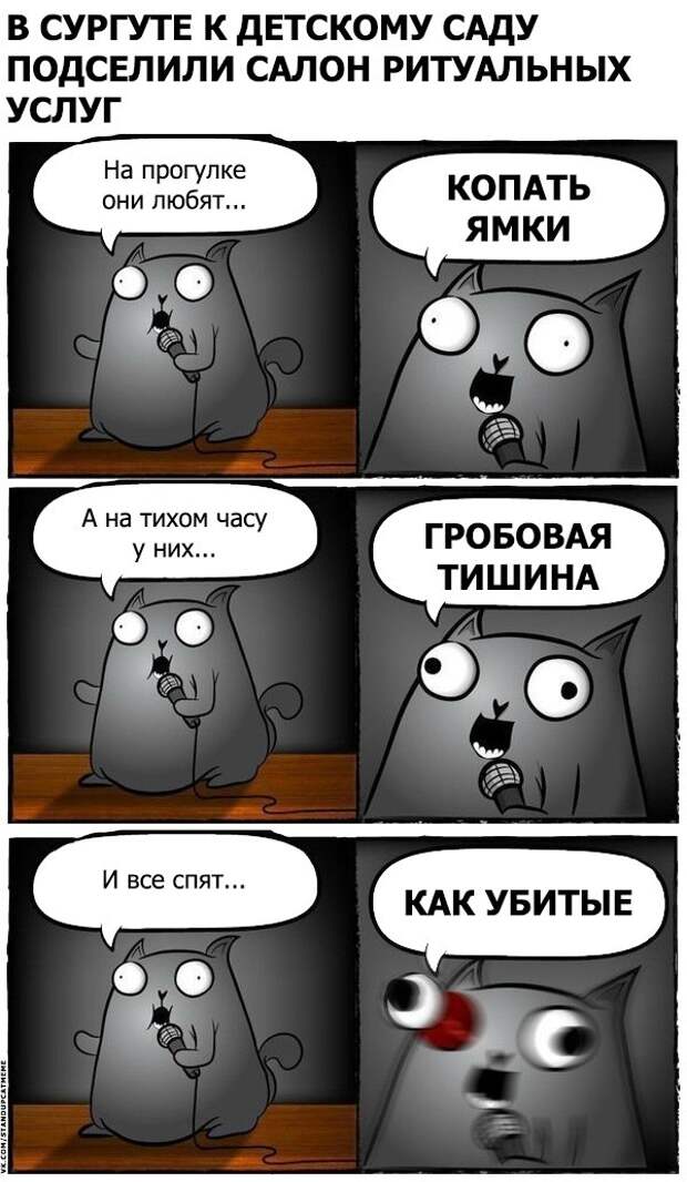 Стендап-кот и его коллекция саркастических комиксов Стендап-кот и его коллекция саркастических комиксов
