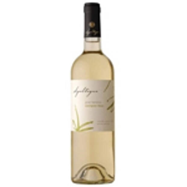 Вино «Gran Verano Sauvignon Blanc» (Чили) Вино «Gran Verano Sauvignon Blanc» (Чили)