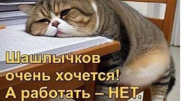 Смешные мемы и картинки про выход на работу после майских праздников