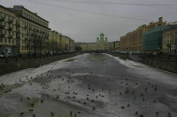 В Петербурге ожидают метель