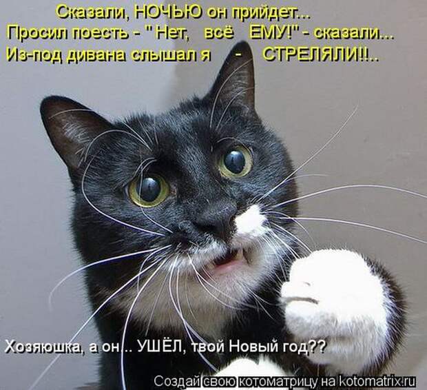 Лучшие котоматрицы недели (50 фото) Лучшие котоматрицы недели (50 фото)