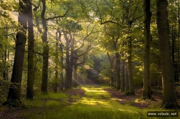 Sun_rays_016