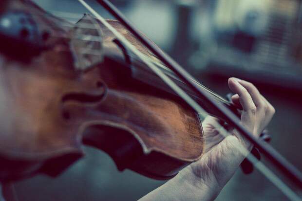 Скрипка. Фото: pixabay.com