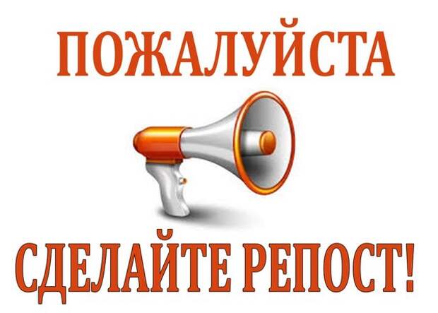 Прямо сейчас, в эти часы, дни, они погибают на улице. Умоляем, просим, очень просим, хоть о какой то помощи.