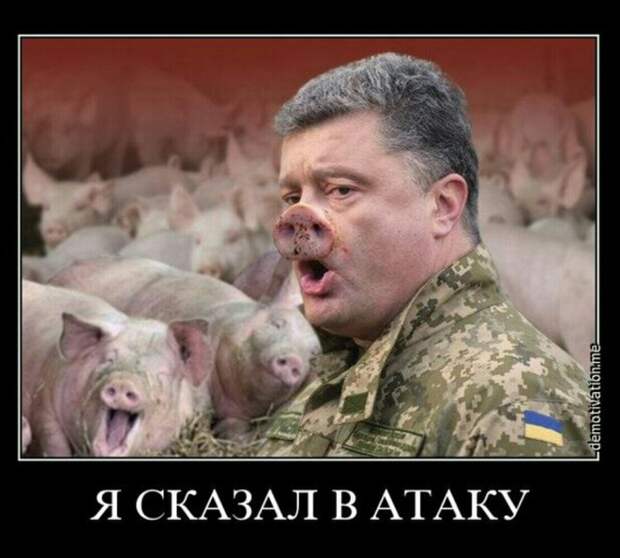 Депутаты Порошенко заверещали: запрет УПЦ буксует в Верховной раде!