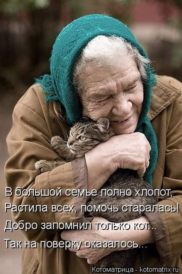 Лучшие котоматрицы недели (50 фото) Лучшие котоматрицы недели (50 фото)