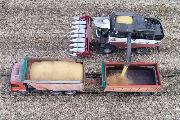 На Западе узнали о риске продовольственного кризиса в мире