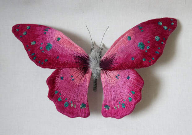 Потрясающие мотыльки и бабочки Yumi Okita.