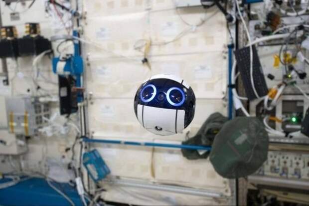 Вот японский дрон, и это самая милая вещь, которую люди отправили в космос. Сегодня он летает по МКС, фотографируя космонавтов на борту и окружающую их обстановку. жизнь, изобретения, прикол, современность, япония