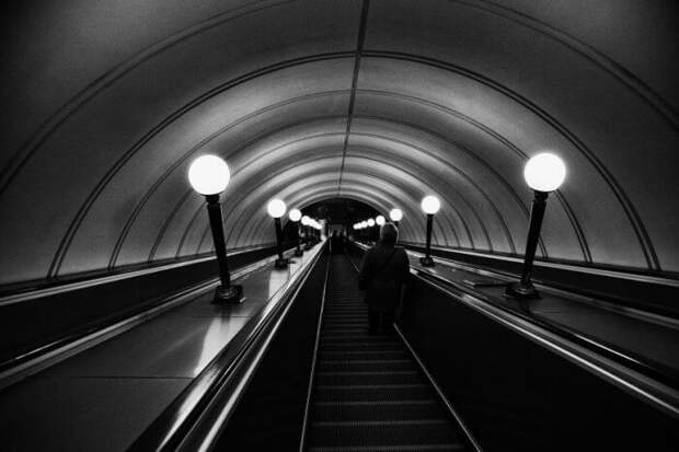 Фото: pixabay.com
