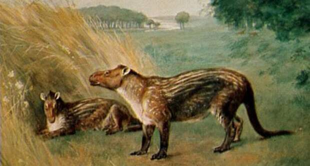 https://www.britannica.com/animal/Condylarthra