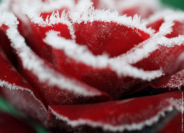 Early Morning Frost In Knutsford As Temperatures Fall Around The UK