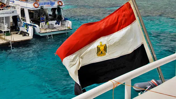 Египет запретил ввоз товаров более 800 иностранных компаний