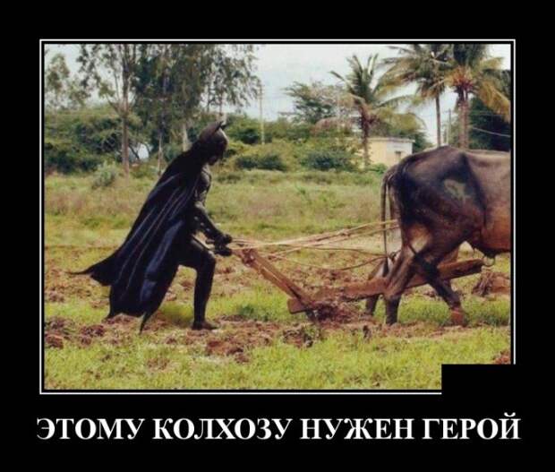 Демотиваторы (30 фото)