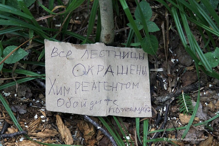 Чертово городище. Загадочное место в средней полосе России