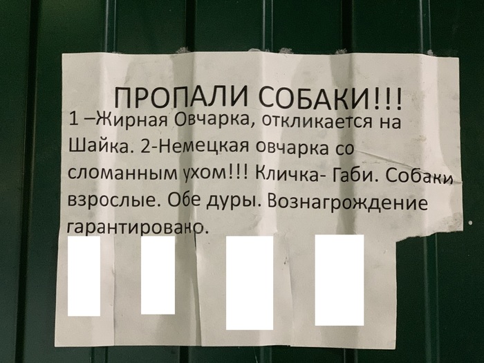 20 шедевров стенонаписания и столбообклеивания в виде самых неоднозначных объявлений