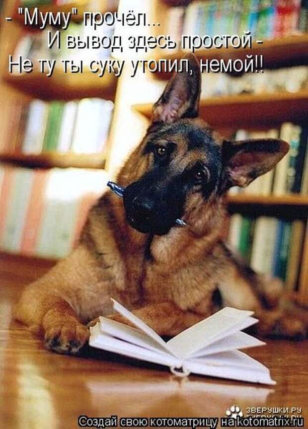 Котоматрицы (картинки с подписями)