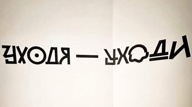 Жизнь за пределами головы