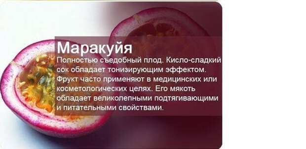 yagod-fruktov-polze-kartinki-smeshnye-kartinki-fotoprikoly