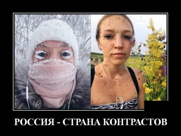 Демотиваторы (30 фото)