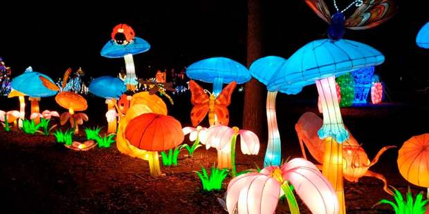 Фото: пресс-служба