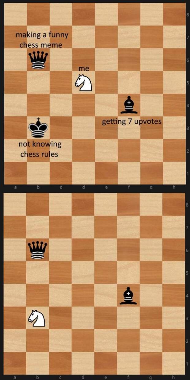 Chess memes