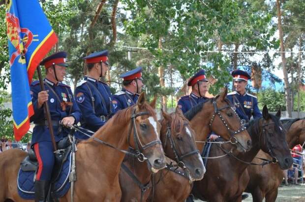http://images.aif.ru/013/934/50e4dd56ea32ffe1b73ddb7176245198.JPG