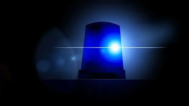 Обнаженный труп помощницы судьи нашли в садовом товариществе около Щелковского шоссе