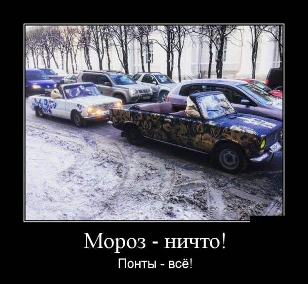 Демотиваторы (30 фото)
