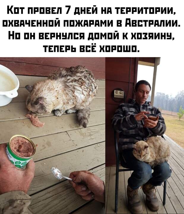 www.vsyako.net